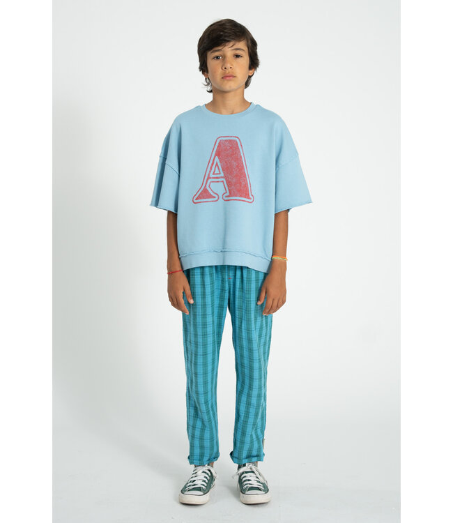 unisex trousers | blue & green checkered by Piupiuchick