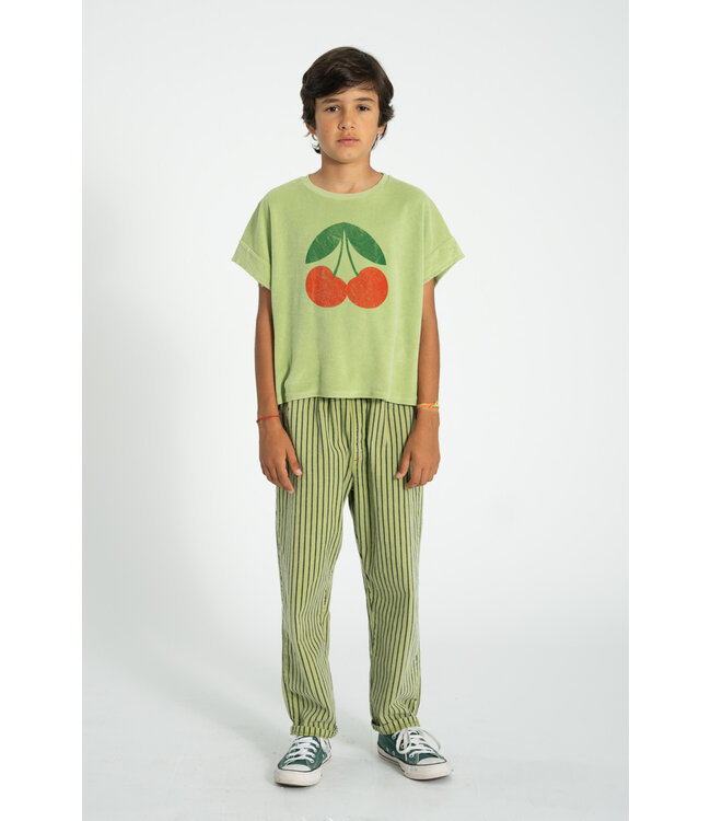 unisex trousers  | green w/ indigo stripes by Piupiuchick