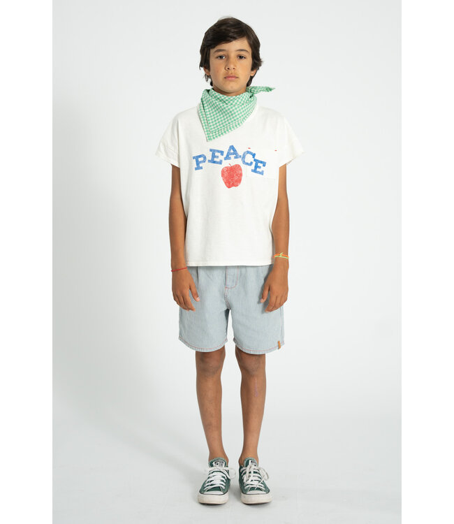 boy shorts | ecru w/ indigo stripes by Piupiuchick