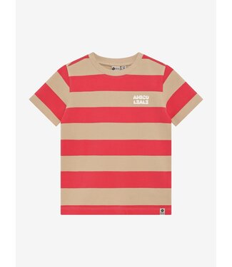 Daily7 T-shirt Big Stripe Chrysanthemum by Daily7