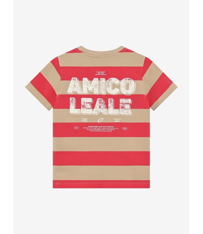 T-shirt Big Stripe Chrysanthemum by Daily7