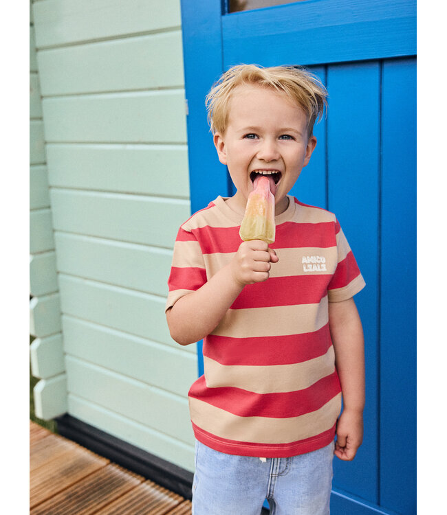 T-shirt Big Stripe Chrysanthemum by Daily7