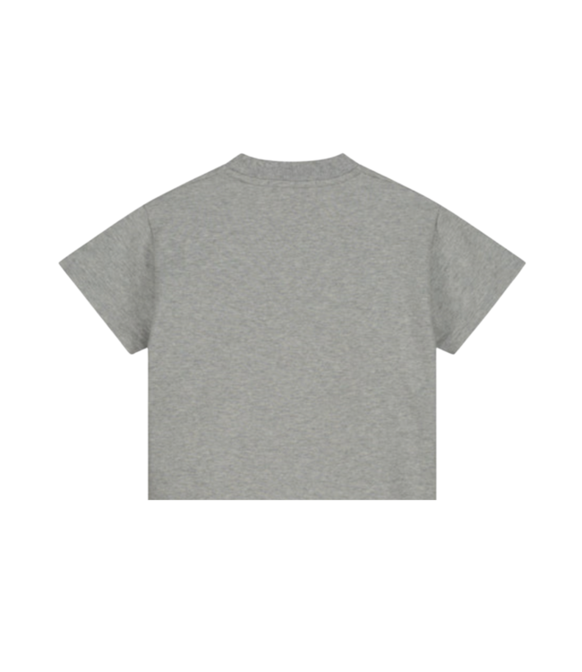 Presley shirt grey melange by Charlie Petite