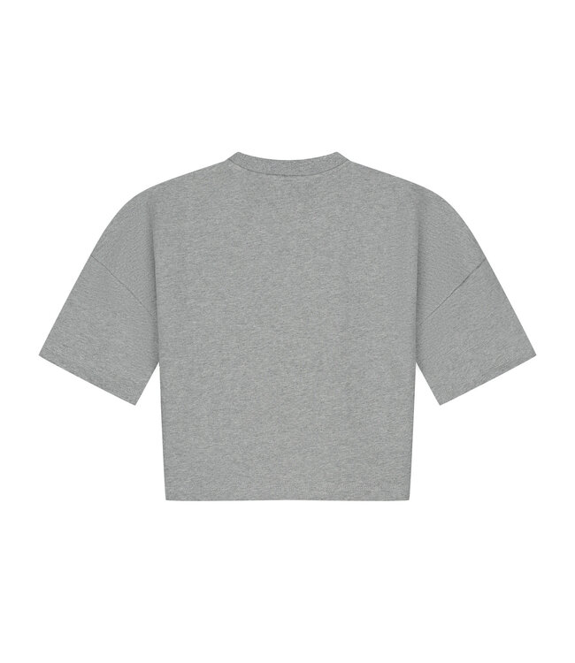 Esmee shirt grey melange by Charlie Petite