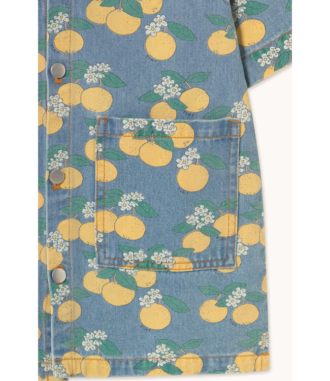 Oranges Denim Dress  by Tiny Cottons