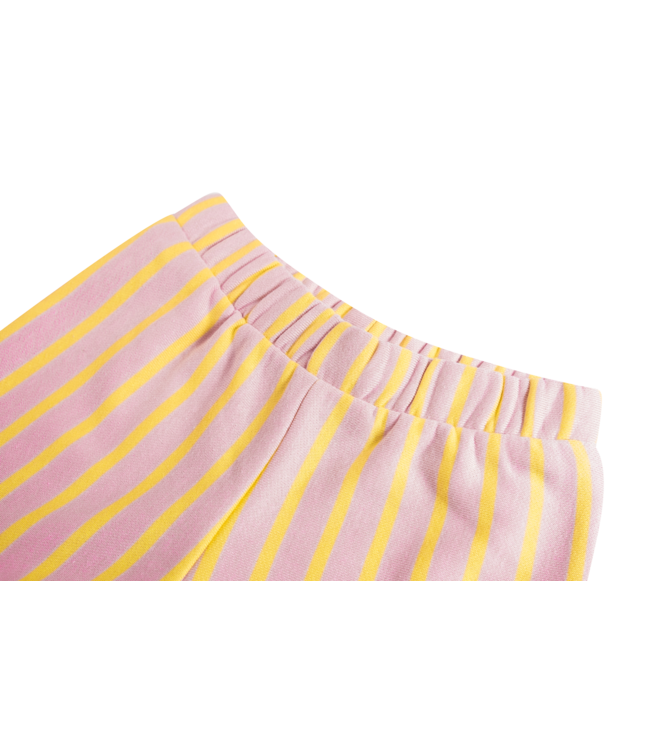 VEDA-SG-34-F PINK Mini Rebels