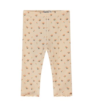 Babyface baby girls legging Light orange by Babyface