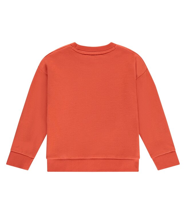 boys sweatshirt Grapefruit by Stains & Stories