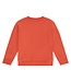 boys sweatshirt Grapefruit by Stains & Stories