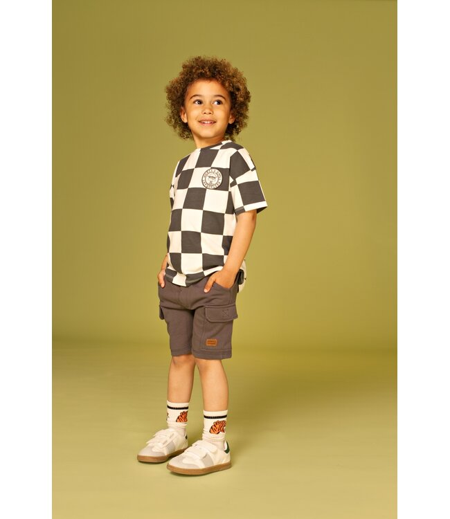 boys t-shirt short sleeve Antra by Stains & Stories