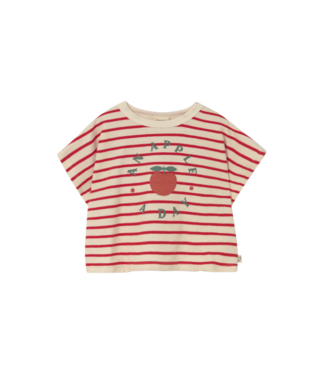 Cozmo SELVAK266s6 tomato by Cozmo