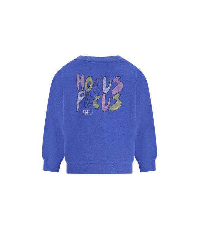 The New Chapter sweater Billie Amparo Blue