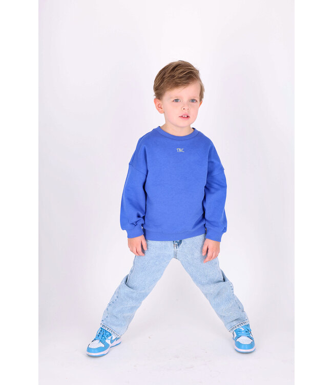 The New Chapter sweater Billie Amparo Blue