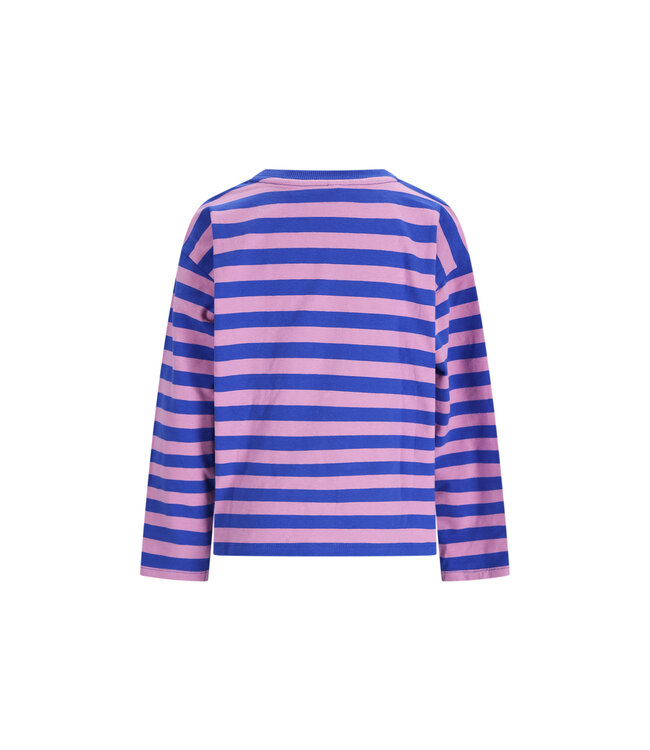 The New Chapter T-shirt Lou Blue Pink Stripes