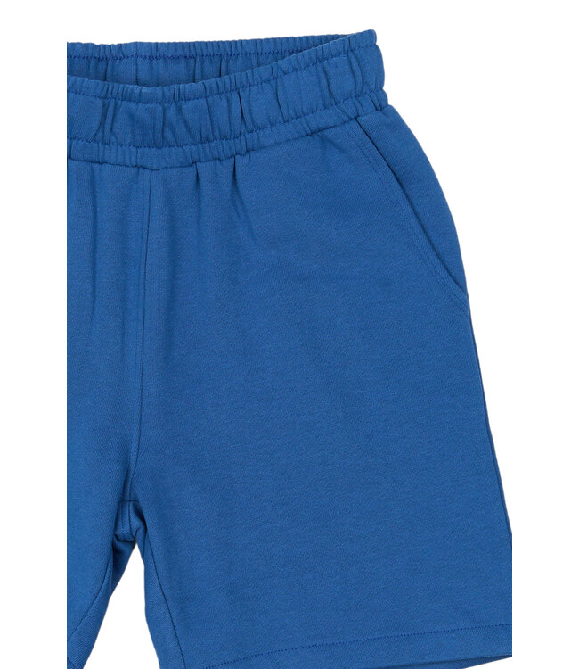 TNRasmus Sweat Shorts True Blue by The New