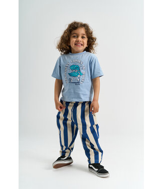 The New TNSTSilas Baggy Pants True Blue Striped by The New