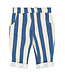 TNSTSilas Baggy Pants True Blue Striped by The New