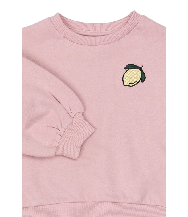 TNSTSapphire OS Sweatshirt Silver Pink by The New