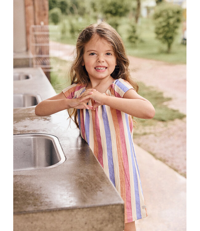 Dress Striped  Heather Rose by Daily7