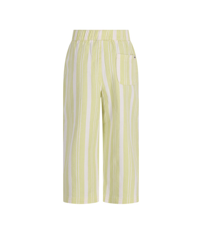 The New Chapter pants Atlas Green Stripes