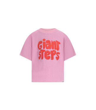 The new chapter The New Chapter T-shirt Bo Mauve Mist