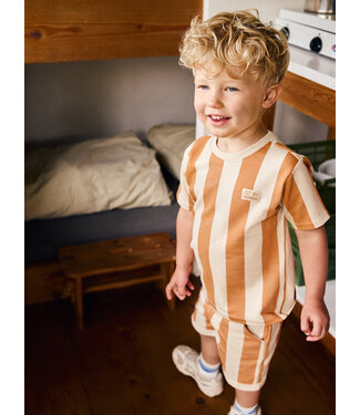 Daily7 T-shirt Big Stripe Sandstone by Daily7