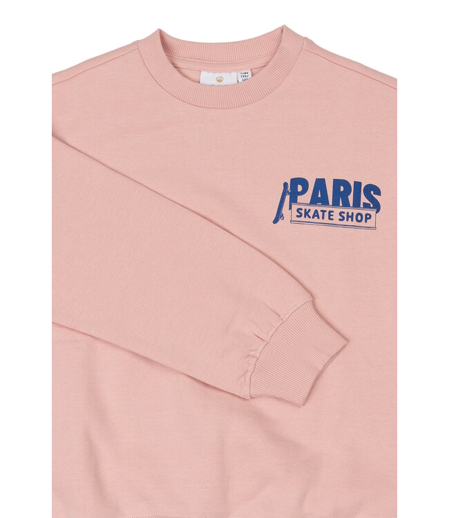 TNSeyn OS Sweatshirt Silver Pink by The New