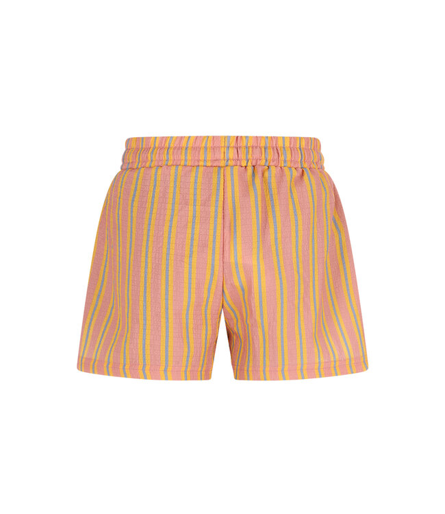 The New Chapter pants Juul Solshine Stripes