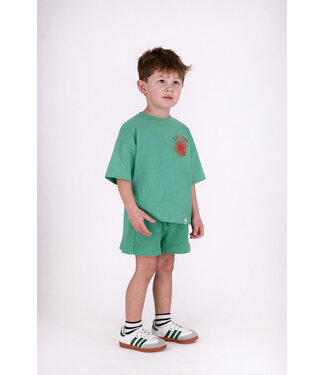 The new chapter The New Chapter T-shirt Bo Green spruce