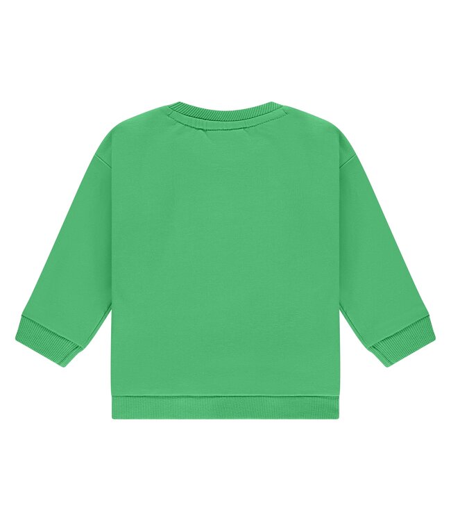 baby boys sweatshirt Frog by Babyface