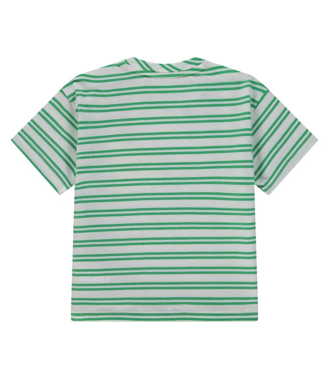 baby boys t-shirt short sleeve wide fit Frog by Babyface