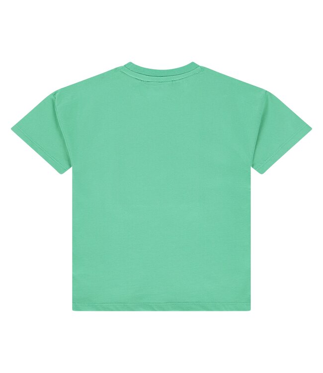 boys t-shirt short sleeve Emerald by Stains & Stories