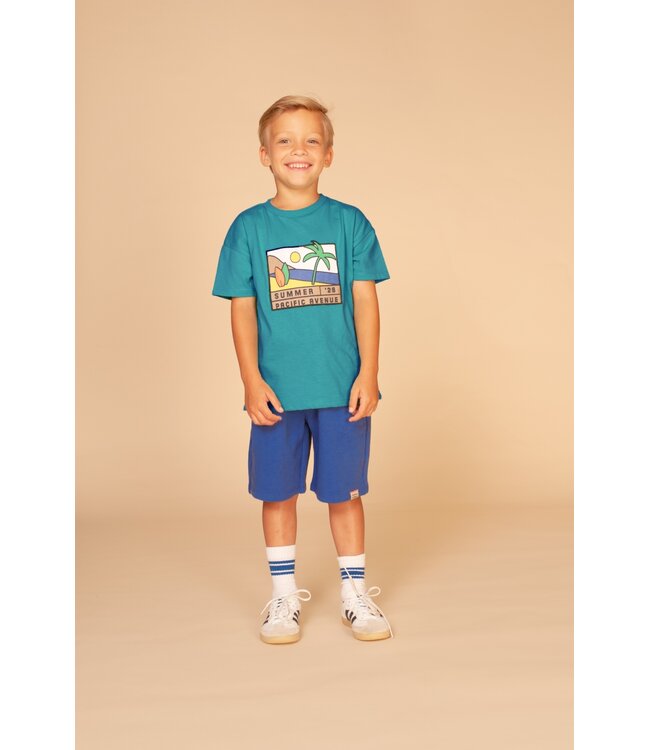 boys t-shirt short sleeve Emerald by Stains & Stories