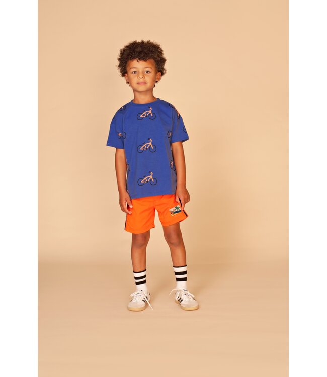 boys t-shirt short sleeve Royal by Stains & Stories