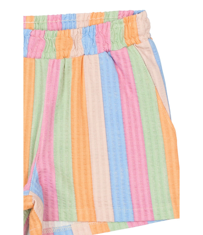 TNTrace Shorts Multi Striped by The New