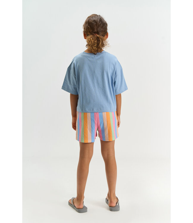 TNTrace Shorts Multi Striped by The New