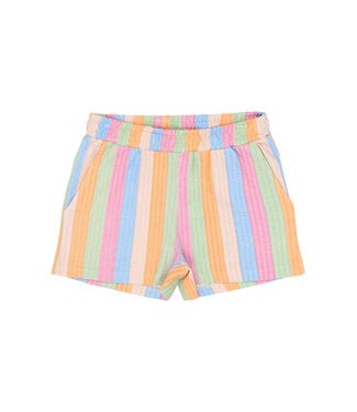 The New TNTrace Shorts Multi Striped by The New