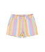 The New TNTrace Shorts Multi Striped by The New