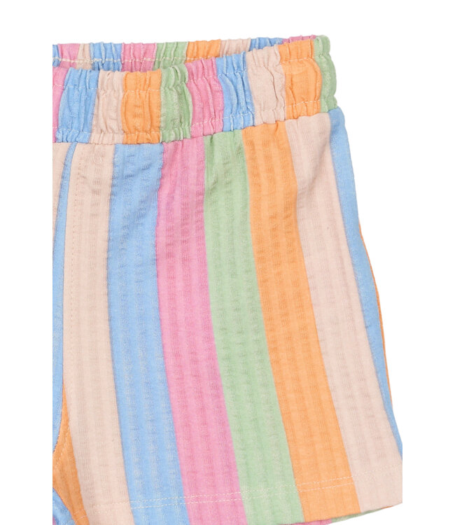 TNSTTracie Shorts Multi Striped by The New