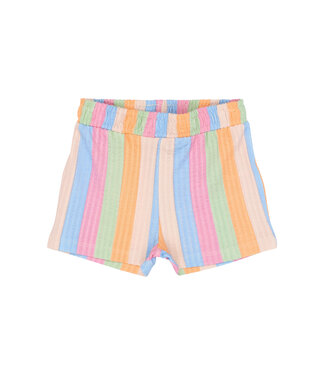 The New TNSTTracie Shorts Multi Striped by The New