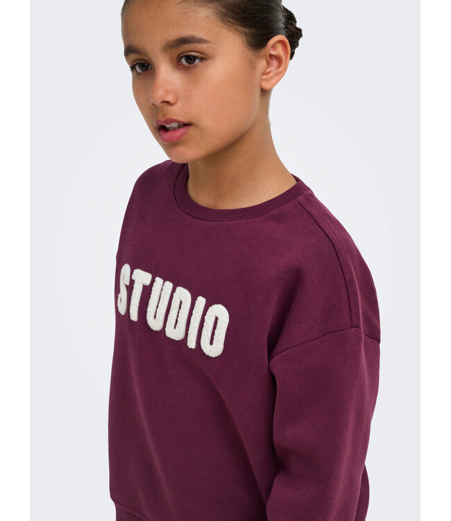 KOGSWEAT LS CREW OVZ STAT SWT NOOS Fig STUDIO - Terry Emb. by Kids Only