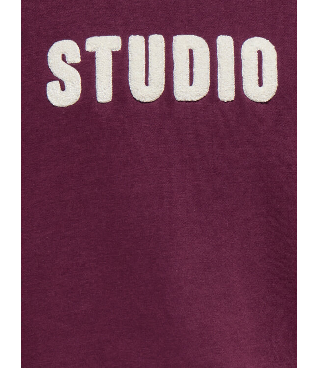 KOGSWEAT LS CREW OVZ STAT SWT NOOS Fig STUDIO - Terry Emb. by Kids Only
