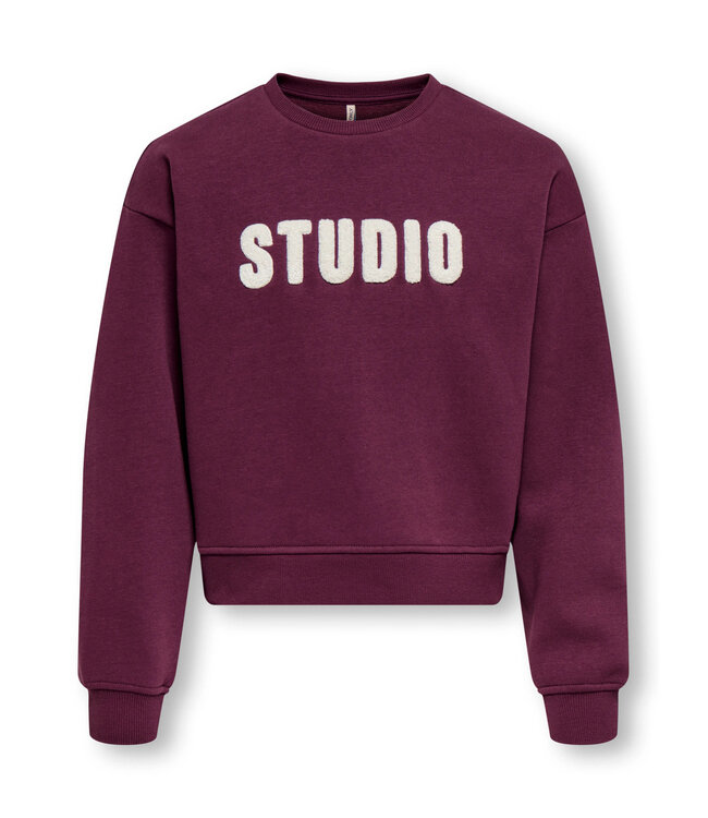 KOGSWEAT LS CREW OVZ STAT SWT NOOS Fig STUDIO - Terry Emb. by Kids Only