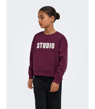 Kids Only KOGSWEAT LS CREW OVZ STAT SWT NOOS Fig STUDIO - Terry Emb. by Kids Only
