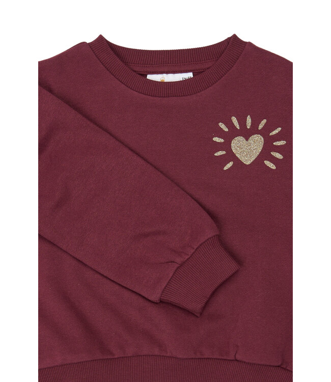 TNSTVerona Sweatshirt Burgundy TN by The New