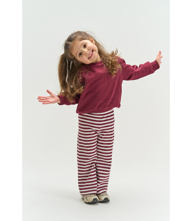 TNSTVerona Sweatshirt Burgundy TN by The New