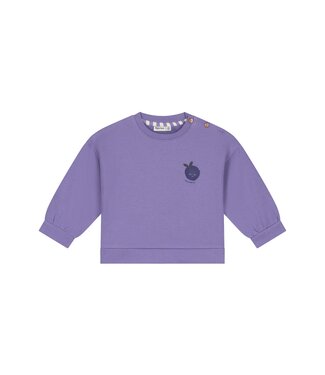 Babyface baby girls sweatshirt Faded Plum by Babyface