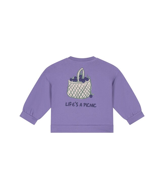 baby girls sweatshirt Faded Plum by Babyface