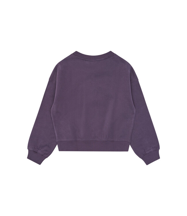 TNVelva OS Sweatshirt Sweet Grape TN by The New