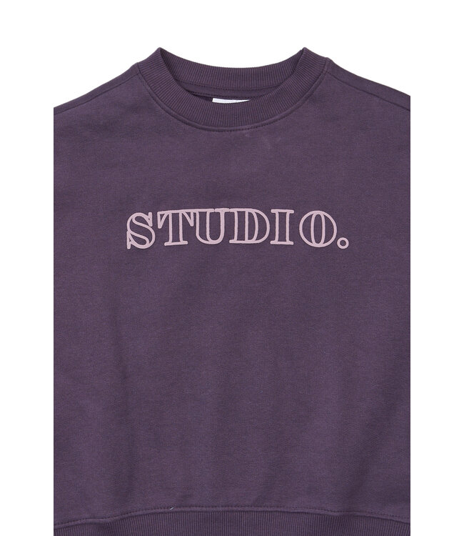 TNVelva OS Sweatshirt Sweet Grape TN by The New